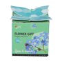 Buzzy ® Grow Gift Vergeet-me-niet in potje